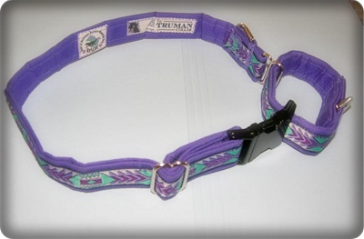 The Truman Collar has features that are important to our Rescue Program